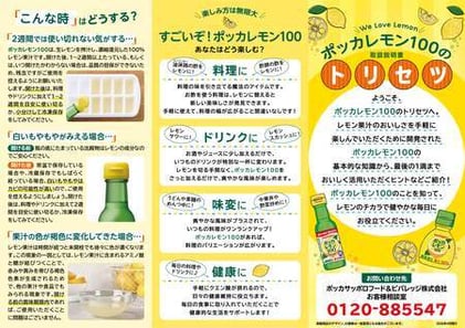 case-interview-pokkasapporo_Pamphlet1LOW