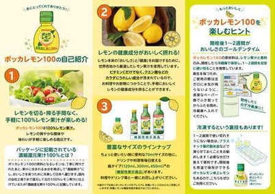 case-interview-pokkasapporo_Pamphlet2LOW