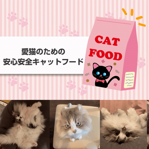 UGCをループアニメーションでぐるぐる回してみた！