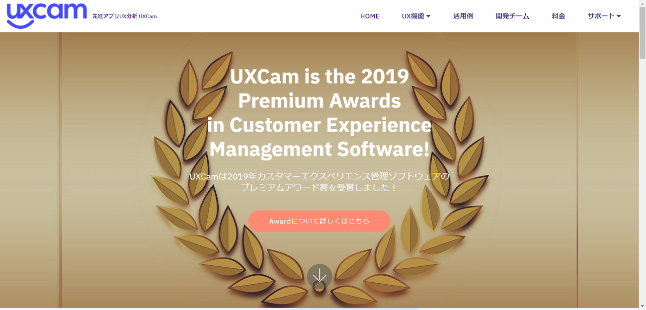 UxCamサイトイメージ