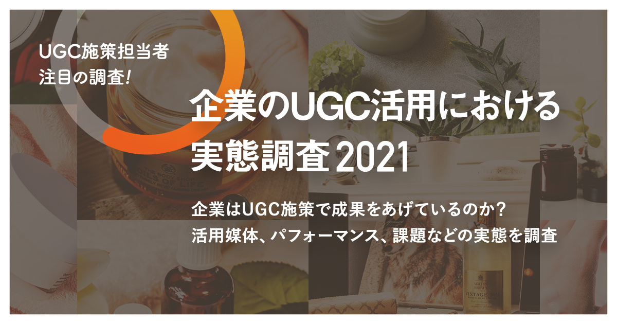 企業のUGC活用における実態調査～他社の活用進捗・成果・課題～